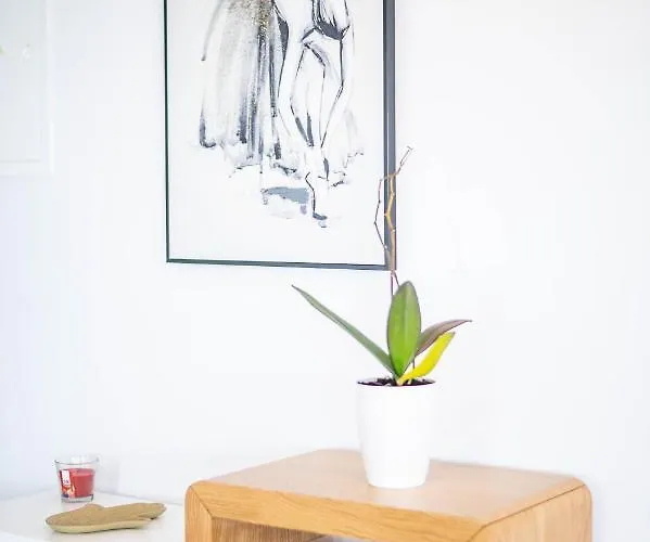 View * Nordeste (Azores)